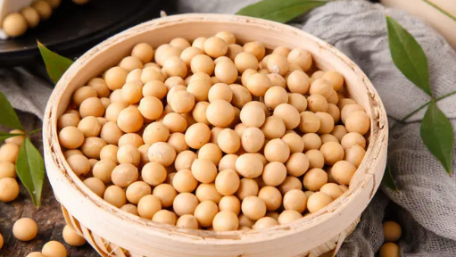 大豆分手卵白在食物加工中的利用